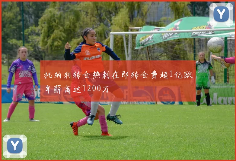 托纳利转会热刺在即转会费超1亿欧年薪高达1200万